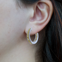 Venus Diamonds Model Photo.webp