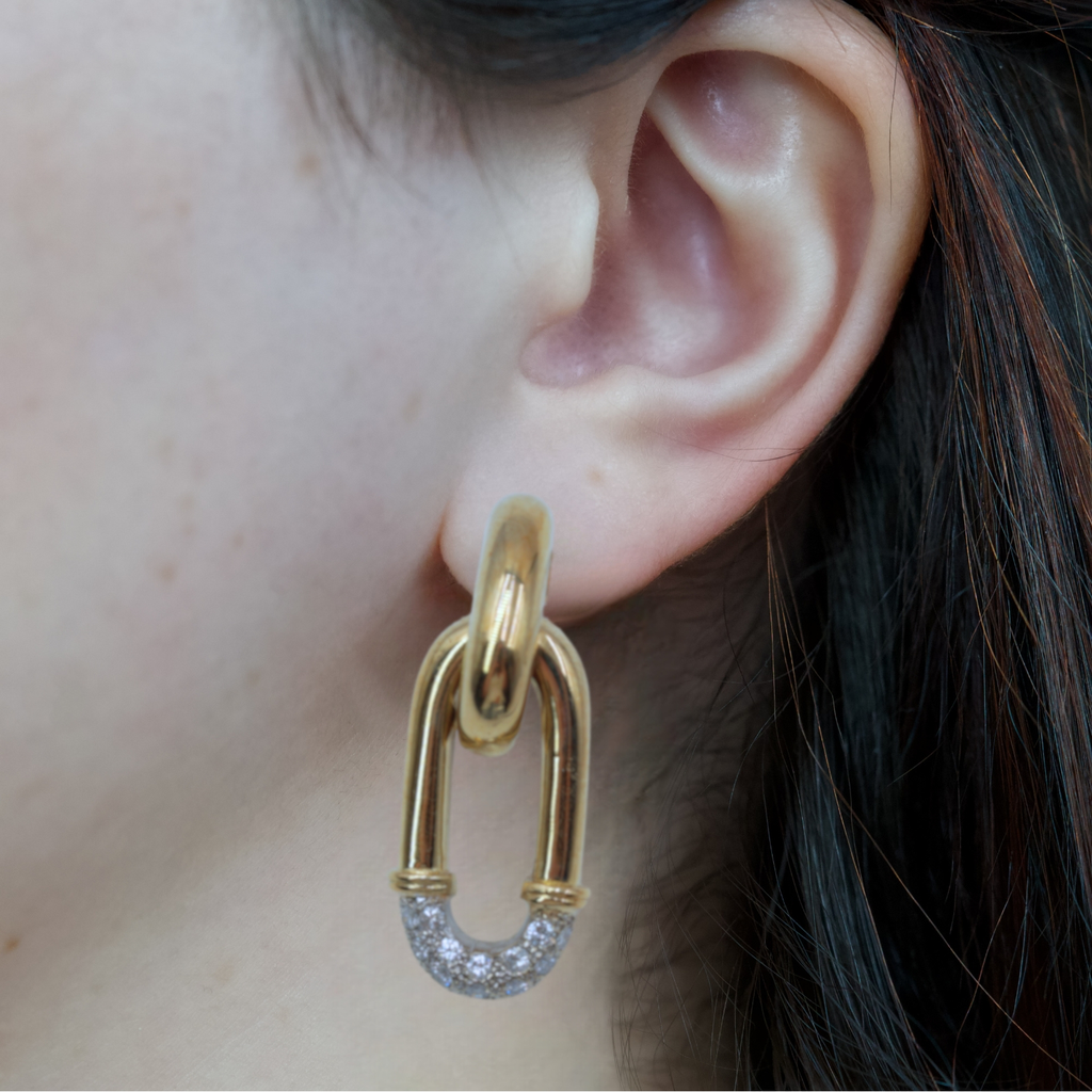 Persistance of Memory Model Photo .webp